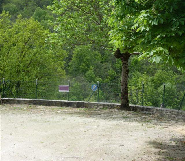Chambre D'Hotes Cadravals Belcastel Aveyron Екстер'єр фото